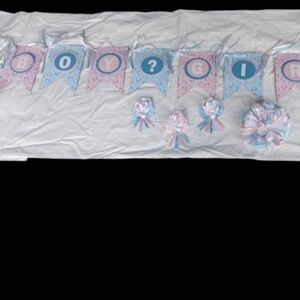 Gender Reveal Baby Shower Banner